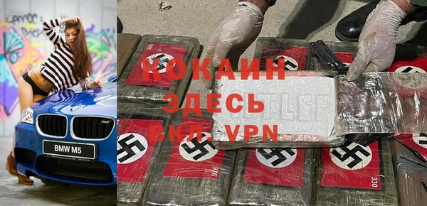 индика Сатка