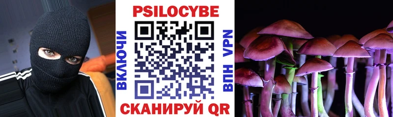 Псилоцибиновые грибы GOLDEN TEACHER Купить закладки Топки